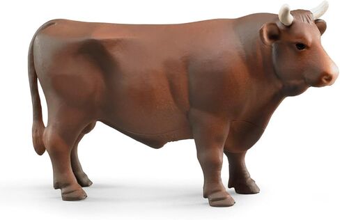 Bruder Cow in Kuwait