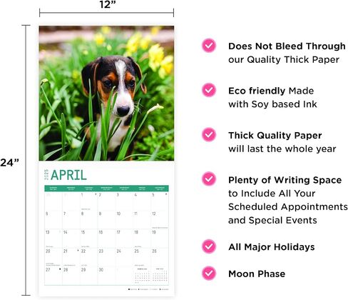 2025 Beagle Puppies Monthly Wall Calendar by Bright Day, 12 x 12 Inch Cute Dog Breed Gift in Saudi Arabia