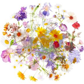 120 Pieces Cute Clear Flowers Stickers Set PET Transparent Flower Stickers for Journaling Assorted Decal Retro Vintage Craft Colorful Small Floral for Scrapbooking DIY