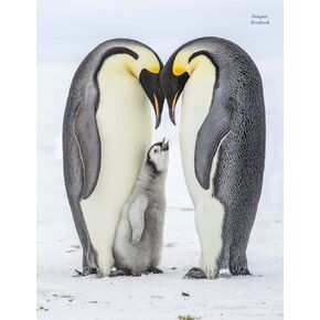 Penguin Notebook: Wide-Ruled, Notebook, 110 Pages, Full Size (8.5 x 11 inches), Large, Glossy Cover, Design on Front and Back
