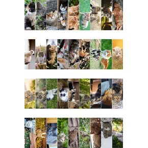 Livin Harmony Cool Cute Cat Bookmarks for Book Lovers 36 Pack - Bookmarks for Kids Bulk - Purrfect Book Mark Gift for Cat Lovers - Bookmarks for Women, Teens & Men - Classroom Rewards for Students