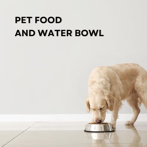 Stainless Steel Dog Bowl for Food & Water - Non Slip 32 Oz Pet Feeder - Feeding Dish Bowls with Removable Rubber Ring - Small, Medium, Large Breed Dogs and Multi Purpose Pets in Saudi Arabia