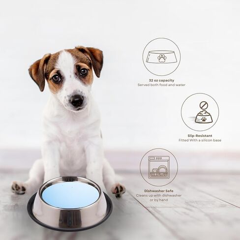 Stainless Steel Dog Bowl for Food & Water - Non Slip 32 Oz Pet Feeder - Feeding Dish Bowls with Removable Rubber Ring - Small, Medium, Large Breed Dogs and Multi Purpose Pets in Saudi Arabia