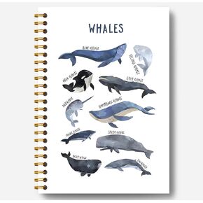 Whale Notebook - Ocean Notebook, Ocean Journal, Whale Gifts, Whale Gifts for Women, Marine Biology Gifts, Whales Spiral Notebook 5.5x8.3 Inch