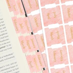 NEWEST 48 Pieces Monthly Tabs for Planners, Gold Foil Month Adhesive Tabs Pink Planner Tabs Calendar Monthly Stickers Decorative for Office Study Planners Organizations, 12 Blank Index Tabs