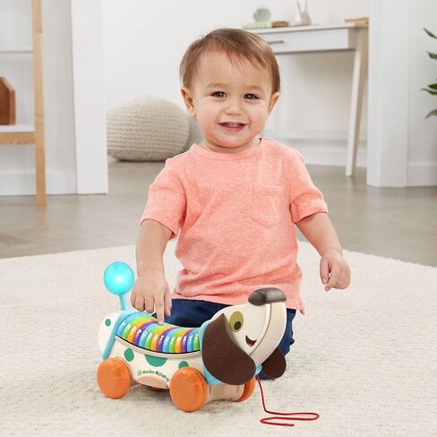 LeapFrog Wooden AlphaPup, Purple in Saudi Arabia