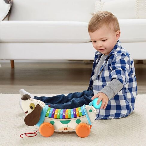 LeapFrog Wooden AlphaPup, Purple in Saudi Arabia