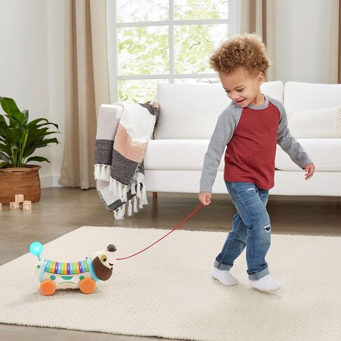 LeapFrog Wooden AlphaPup, Purple in Saudi Arabia