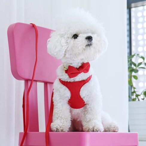 Didog No Pull Dog Harness- Adjustable Lightweight Small Harness Collar and Leash Set, Suitable for Cats Puppies Small Dogs Outdoor Training and Running (Pink, XS) in Saudi Arabia