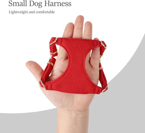 Didog No Pull Dog Harness- Adjustable Lightweight Small Harness Collar and Leash Set, Suitable for Cats Puppies Small Dogs Outdoor Training and Running (Pink, XS) in Saudi Arabia