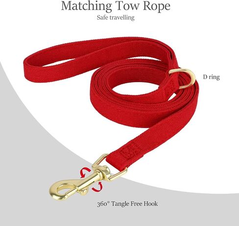 Didog No Pull Dog Harness- Adjustable Lightweight Small Harness Collar and Leash Set, Suitable for Cats Puppies Small Dogs Outdoor Training and Running (Pink, XS) in Saudi Arabia
