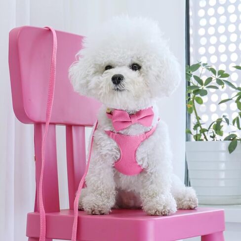 Didog No Pull Dog Harness- Adjustable Lightweight Small Harness Collar and Leash Set, Suitable for Cats Puppies Small Dogs Outdoor Training and Running (Pink, XS) in Saudi Arabia