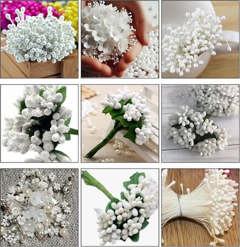 750 Pcs Flower Stamens, 3mm White Pearl Double Heads Flower Stamen White Flower Stamens for Crafts Flower Stamen for Flower Making Supplies Scrapbook Decoration (White) in Saudi Arabia