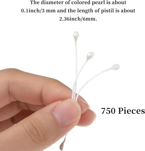 750 Pcs Flower Stamens, 3mm White Pearl Double Heads Flower Stamen White Flower Stamens for Crafts Flower Stamen for Flower Making Supplies Scrapbook Decoration (White) in Saudi Arabia
