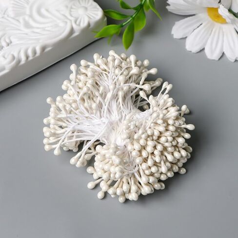 750 Pcs Flower Stamens, 3mm White Pearl Double Heads Flower Stamen White Flower Stamens for Crafts Flower Stamen for Flower Making Supplies Scrapbook Decoration (White) in Saudi Arabia