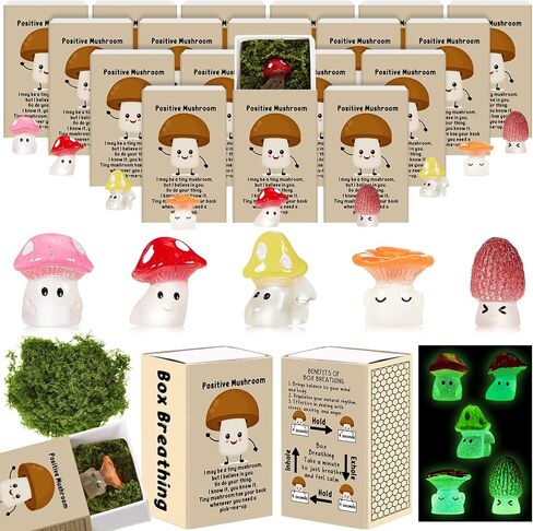25 Sets Affirmation Mini Luminous Resin Appreciation Gift Box Breathing Gift Bulk for Coworker Emotional Mental Health Care Support Anxiety Sensory Steps Gift for Team Xmas, Mushroom in Kuwait