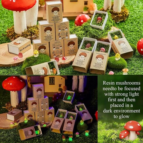 25 Sets Affirmation Mini Luminous Resin Appreciation Gift Box Breathing Gift Bulk for Coworker Emotional Mental Health Care Support Anxiety Sensory Steps Gift for Team Xmas, Mushroom in Kuwait