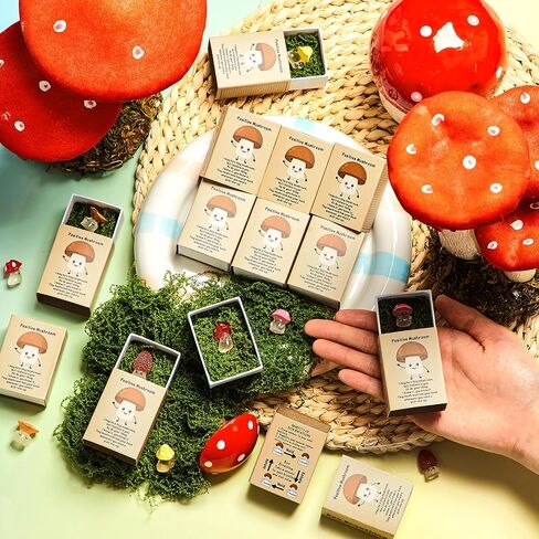 25 Sets Affirmation Mini Luminous Resin Appreciation Gift Box Breathing Gift Bulk for Coworker Emotional Mental Health Care Support Anxiety Sensory Steps Gift for Team Xmas, Mushroom in Kuwait