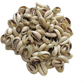 100 Pcs White and Lvory Natural Cowrie Shells Beads Oval Beach Seashells African Shells for Hair Jewelry Making sea Shells for Crafting,DIY Craft Beads and Jewelry Making,Beads and Bead Assortments