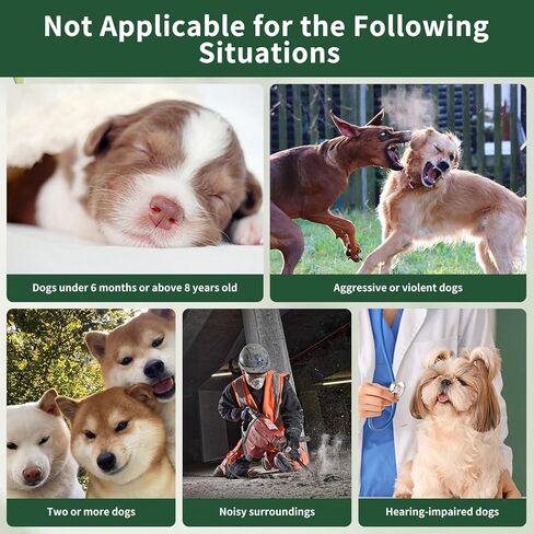 أجهزة مكافحة نباح الكلاب، أجهزة التحكم في نباح الكلاب بالموجات فوق الصوتية بطول 50 قدمًا مع 4 أوضاع، صندوق نباح الكلاب بالموجات فوق الصوتية، أجهزة ردع نباح الكلاب بالموجات فوق الصوتية للاستخدام الداخلي/الخارجي للكلاب in Kuwait