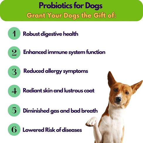 Avery's Holistic Paws Probiotic Dental Stick Treats for Dogs - 23 Peanut Butter Edible Dog Chews, 3 Inches Each - Natural & Organic Dog Chew Sticks for Oral Care - Teeth Cleaning Chews Made in USA in Saudi Arabia