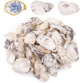 QEQEKAKA 25PCS Oyster Shells 3"-4" Concave Oyster Shells for Crafts Natural Oyster Shells Bulk, for Home Vase Filler, Xmas Ornaments, DIY Arts and Crafts Sea Shells