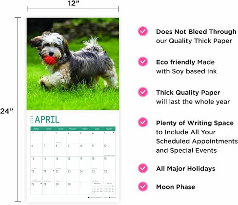 2025 Havanese Monthly Wall Calendar by Bright Day, 12 x 12 Inch Cute Dog Breed Gift in Saudi Arabia