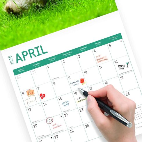 2025 Havanese Monthly Wall Calendar by Bright Day, 12 x 12 Inch Cute Dog Breed Gift in Saudi Arabia