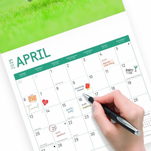 تقويم حائط شهري شيه تزو لعام 2025 من برايت داي، هدية لطيفة لسلالة الكلاب مقاس 12 × 12 بوصة in Saudi Arabia