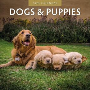 Red Robin 2025 Dogs & Puppies Monthly Wall Calendar | 12" x 24" Open | Premium Thick & Sturdy Paper | Hangable 12 Month Calendar | Plastic Free | 4 Month Transition Page for 2024