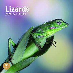Bright Day Calendars 2025 Snakes Monthly Wall Calendar - Cute Nature Photography Gift (12 x 12 Inch)