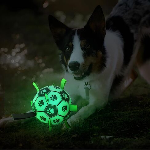 Glowing Pet Toys for Soccer Fun, Glow-in-Dark Fetch Toys for Dogs and Cats, Outdoor and Indoor Use (Medium) in Saudi Arabia