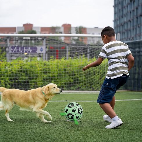 Glowing Pet Toys for Soccer Fun, Glow-in-Dark Fetch Toys for Dogs and Cats, Outdoor and Indoor Use (Medium) in Saudi Arabia