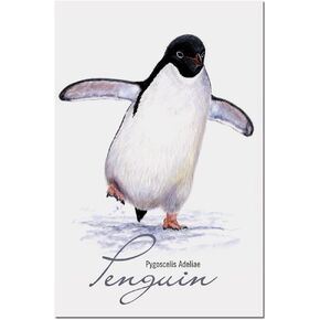 Tree-Free Greetings EcoNotes 12-Count Notecard Set With Envelopes, 4 x 6 Inches, Adelie Penguin Themed Wildlife Art (66717)