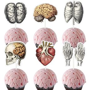 Jollyboom Human Anatomy Party Decoration, 36pcs Human Body Theme Cupcake Topper Human Body Part Organ Double-Sided Printing Cake Decoration for Anatomy Medical Doctor Nurse Birthday Graduation