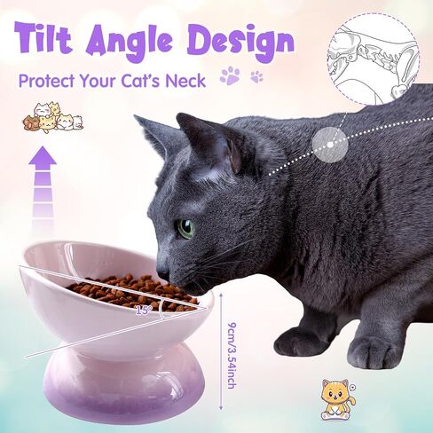 Hushee 4 Pcs Ceramic Raised Cat Food Bowls Elevated Tilted Cat Dish Anti Vomiting Food or Water Bowls Colorful Porcelain Pet Bowl for Cats Kitten Small Dogs, Protect Kitten Spines (Gradient Color) in Saudi Arabia