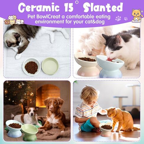 Hushee 4 Pcs Ceramic Raised Cat Food Bowls Elevated Tilted Cat Dish Anti Vomiting Food or Water Bowls Colorful Porcelain Pet Bowl for Cats Kitten Small Dogs, Protect Kitten Spines (Gradient Color) in Saudi Arabia
