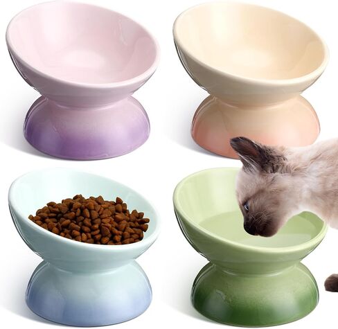 Hushee 4 Pcs Ceramic Raised Cat Food Bowls Elevated Tilted Cat Dish Anti Vomiting Food or Water Bowls Colorful Porcelain Pet Bowl for Cats Kitten Small Dogs, Protect Kitten Spines (Gradient Color) in Saudi Arabia