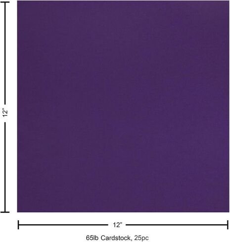 ورق PA Paper Accents Stash Builder Cardstock مقاس 12 بوصة × 12 بوصة أرجواني ماجستي، ورق بطاقات ملون بوزن 65 رطلًا لصنع البطاقات، وسجل القصاصات، والطباعة، واللف والحرف اليدوية، 25 صندوقًا in Saudi Arabia