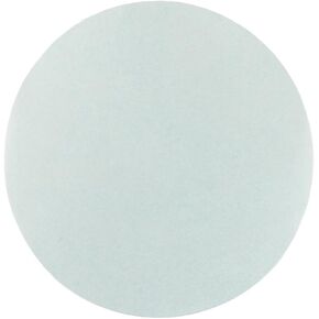 مرشحات غشاء نايلون 170047R من Omicron ، 0.2 سم ، 47 مم (عبوة من 100 قطعة)