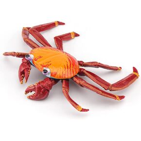 LC JoyCre Hermit Crab Toys Plastic Crab Figurine 5 Inch Sea Creatures Toys for Kids Crab Decor for Collection Realistic Sea Life Animals Figure Model
