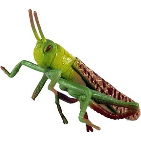 BESTonZON Plastic Grasshoppers Toys, Plastic Grasshoppers Insect Figures Toys, Realistic Animal Figurines Insect Toy, Plastic Insect Plastic Green Grasshoppers Toys Early Educational Toys for Kids
