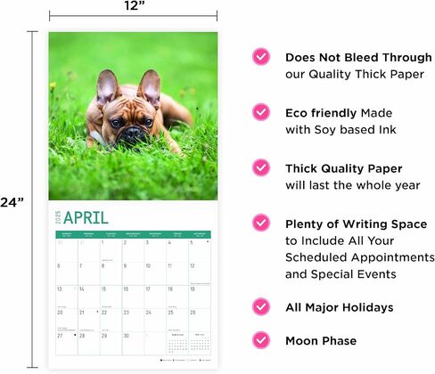 2025 French Bulldog Puppies Monthly Wall Calendar by Bright Day, 12 x 12 Inch Cute Dog Breed Gift in Saudi Arabia