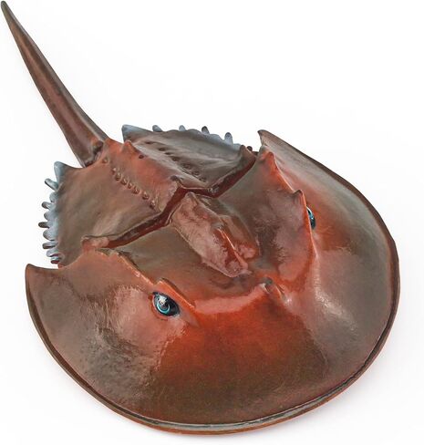 LC JoyCre Hermit Crab Toys Plastic Crab Figurine 5 Inch Sea Creatures Toys for Kids Crab Decor for Collection Realistic Sea Life Animals Figure Model in Saudi Arabia