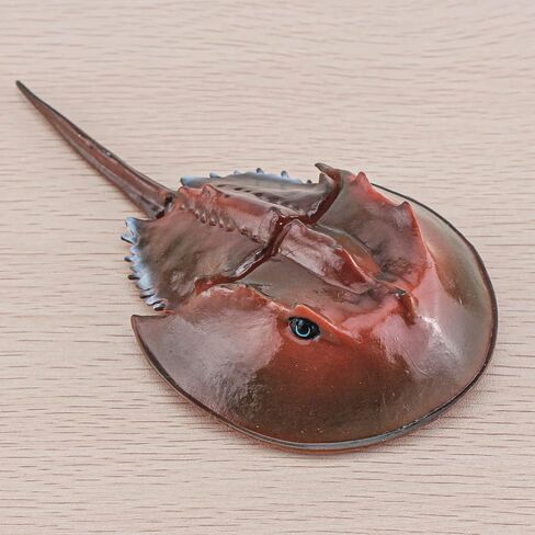 LC JoyCre Hermit Crab Toys Plastic Crab Figurine 5 Inch Sea Creatures Toys for Kids Crab Decor for Collection Realistic Sea Life Animals Figure Model in Saudi Arabia