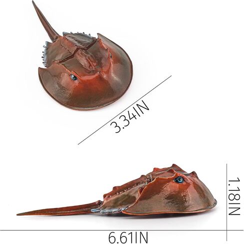 LC JoyCre Hermit Crab Toys Plastic Crab Figurine 5 Inch Sea Creatures Toys for Kids Crab Decor for Collection Realistic Sea Life Animals Figure Model in Saudi Arabia