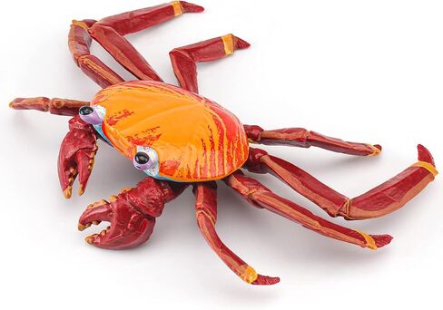LC JoyCre Hermit Crab Toys Plastic Crab Figurine 5 Inch Sea Creatures Toys for Kids Crab Decor for Collection Realistic Sea Life Animals Figure Model in Saudi Arabia