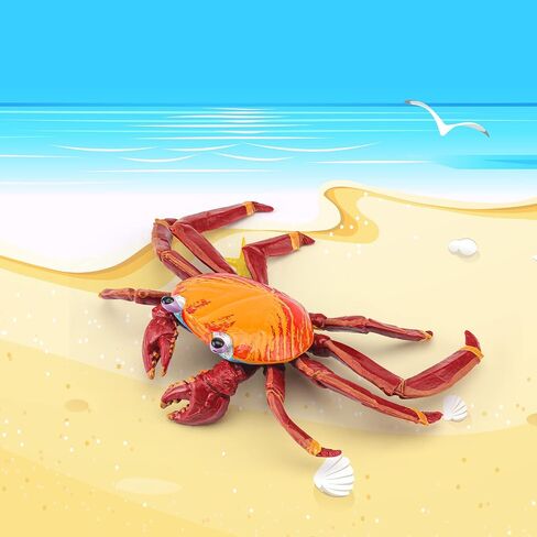 LC JoyCre Hermit Crab Toys Plastic Crab Figurine 5 Inch Sea Creatures Toys for Kids Crab Decor for Collection Realistic Sea Life Animals Figure Model in Saudi Arabia