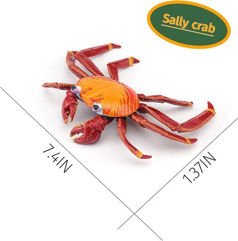LC JoyCre Hermit Crab Toys Plastic Crab Figurine 5 Inch Sea Creatures Toys for Kids Crab Decor for Collection Realistic Sea Life Animals Figure Model in Saudi Arabia