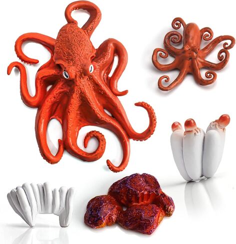 LC JoyCre Hermit Crab Toys Plastic Crab Figurine 5 Inch Sea Creatures Toys for Kids Crab Decor for Collection Realistic Sea Life Animals Figure Model in Kuwait